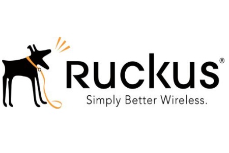Лицензия Ruckus Wireless 909-0100-ZD00